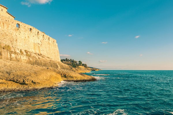 Comment organiser une expédition pour observer les ours polaires dans l'Arctique canadien?